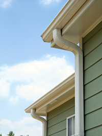 Roof Rot