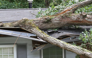 Major Structural Damage
