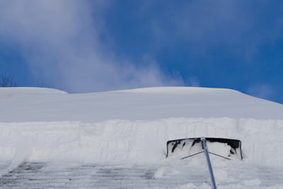 Roof Rake in Jackson